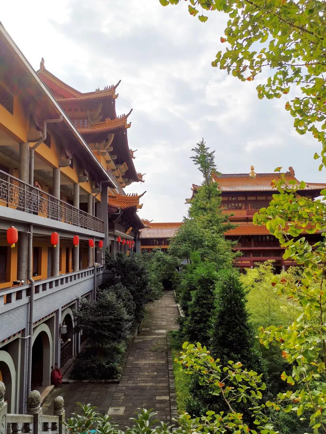 ��Ҫ��һ����˳��ʱ��װ�������ˣ�Ҳ��Ҫ���������۵�ʱ������ͨ��