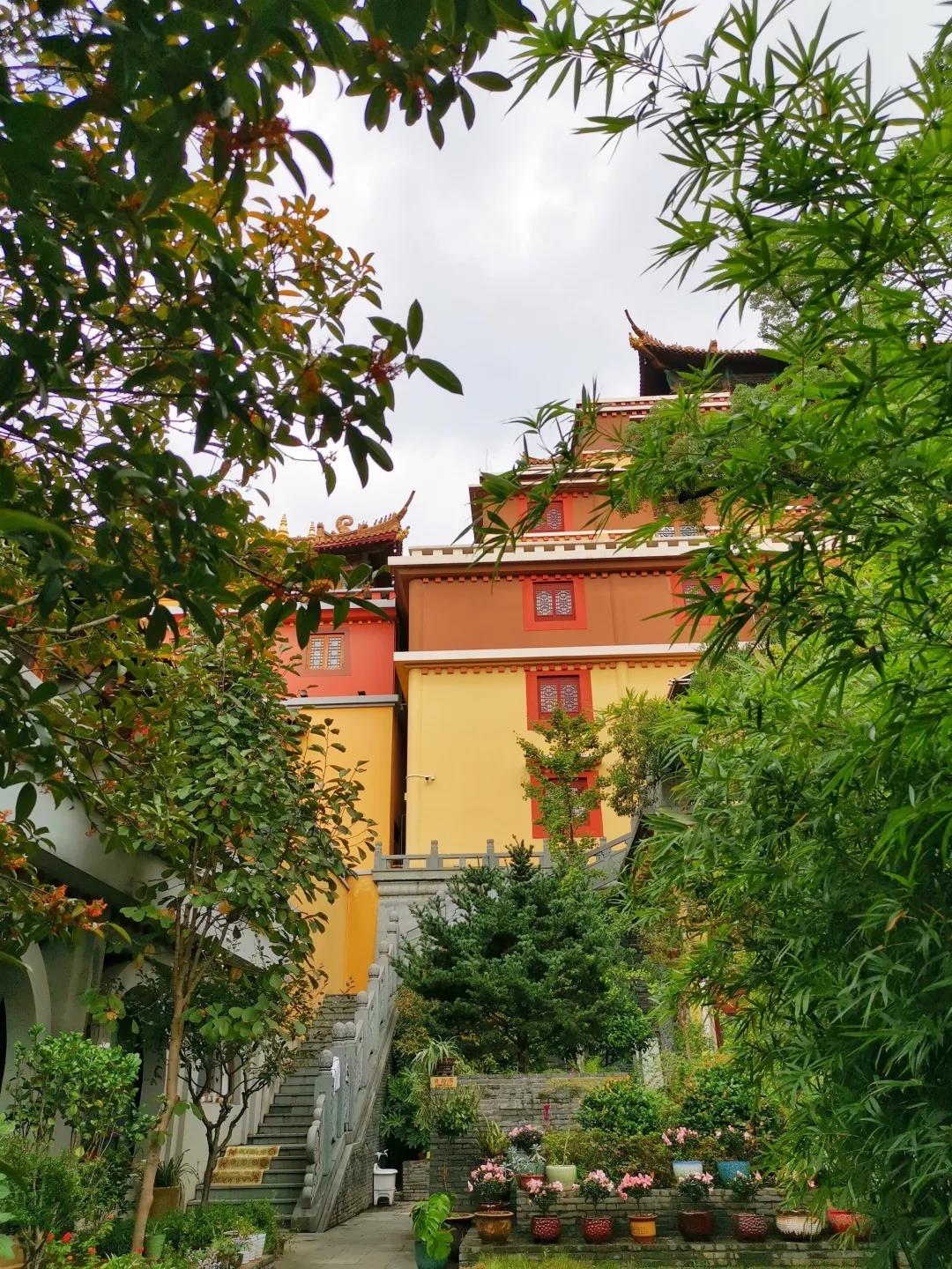 ��Ҫ��һ����˳��ʱ��װ�������ˣ�Ҳ��Ҫ���������۵�ʱ������ͨ��