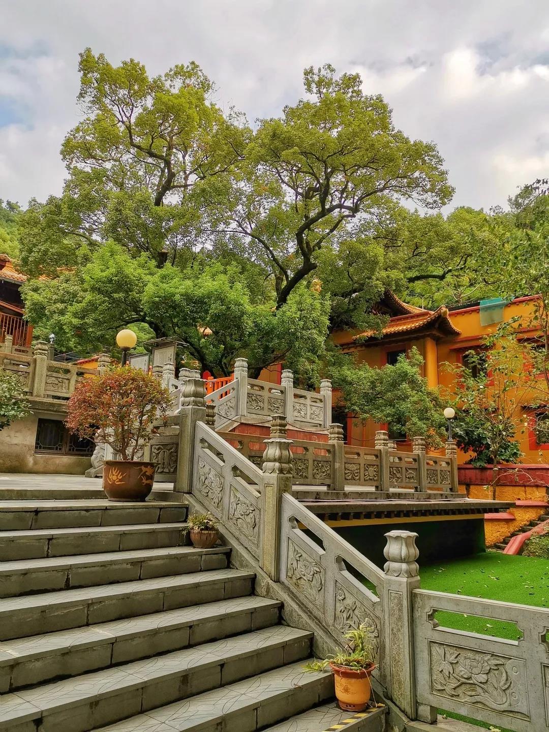 ��Ҫ��һ����˳��ʱ��װ�������ˣ�Ҳ��Ҫ���������۵�ʱ������ͨ��