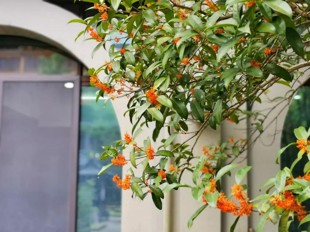 ��Ҫ��һ����˳��ʱ��װ�������ˣ�Ҳ��Ҫ���������۵�ʱ������ͨ��