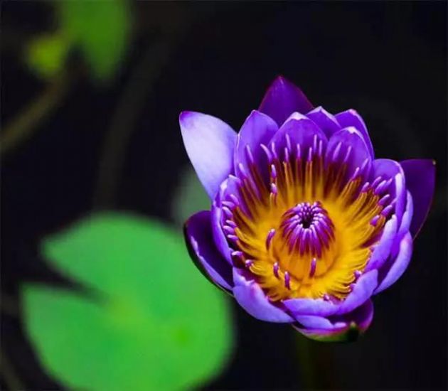 �������ĸ�����ȥ�������������һ��˳����