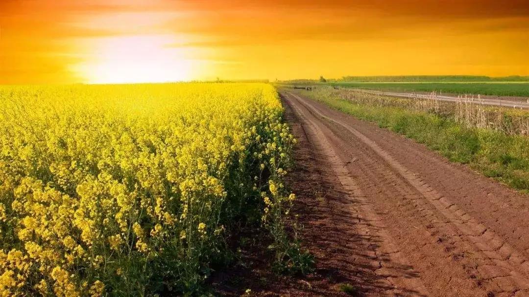 �������ĸ�����ȥ�������������һ��˳����