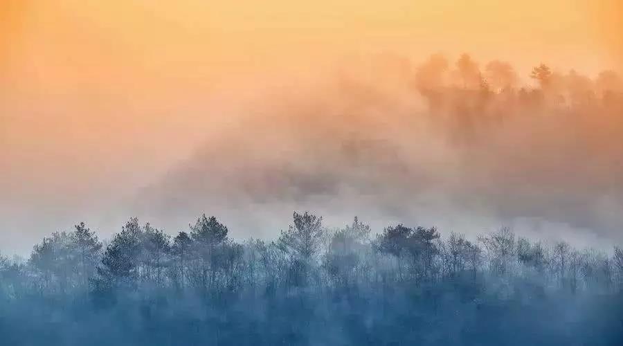 ���޷ǳ���Ҫ��û�����޲��ܹ��Ƴ��Ի�