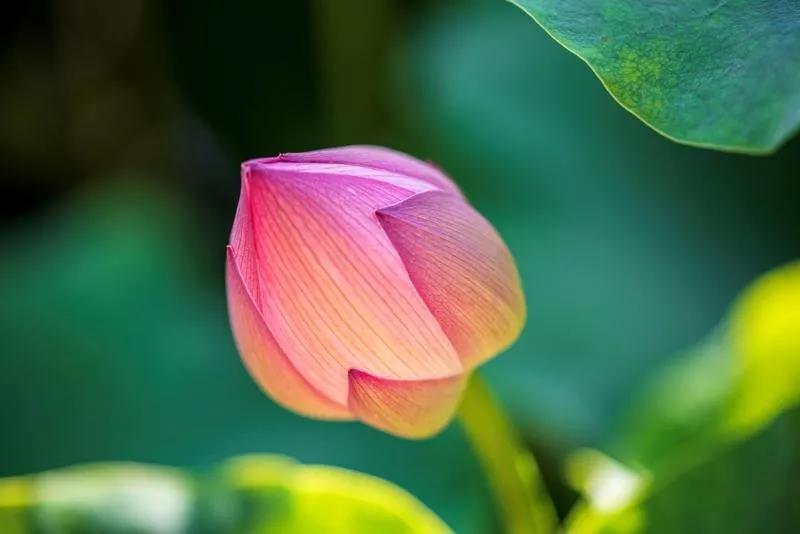 �������еý��ѣ�Ҫ���ĸ�����������