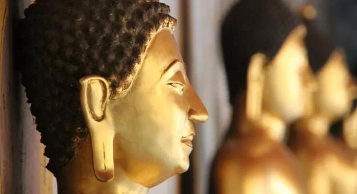 �������еý��ѣ�Ҫ���ĸ�����������