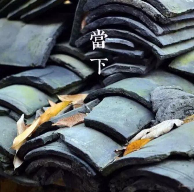 �˸�����������ǰ������