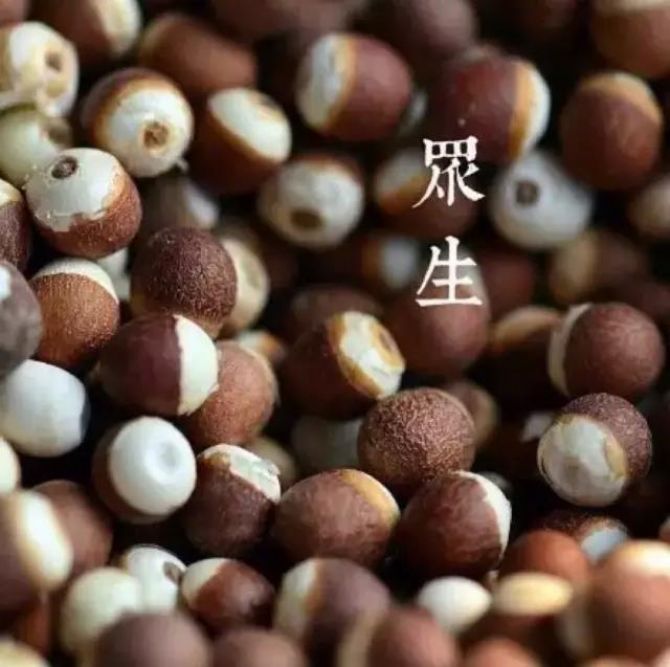 �˸�����������ǰ������