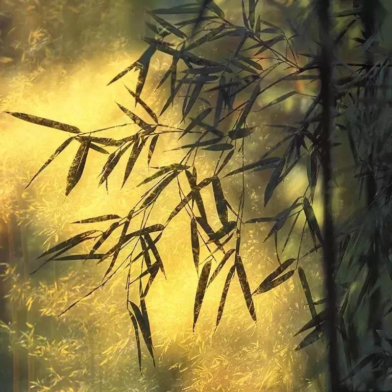 生死到来,一无所靠,_唯阿弥陀佛,能为恃怙! 生死到来,一无所靠,_唯阿弥陀佛,能为恃怙!