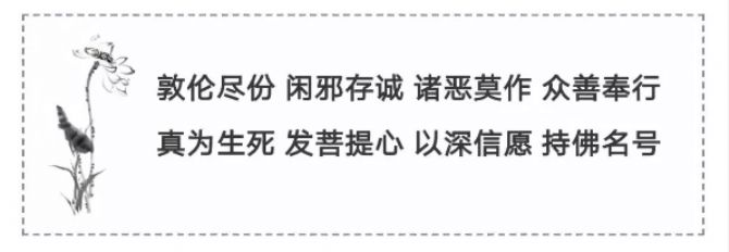 生死到来,一无所靠,_唯阿弥陀佛,能为恃怙! 生死到来,一无所靠,_唯阿弥陀佛,能为恃怙!