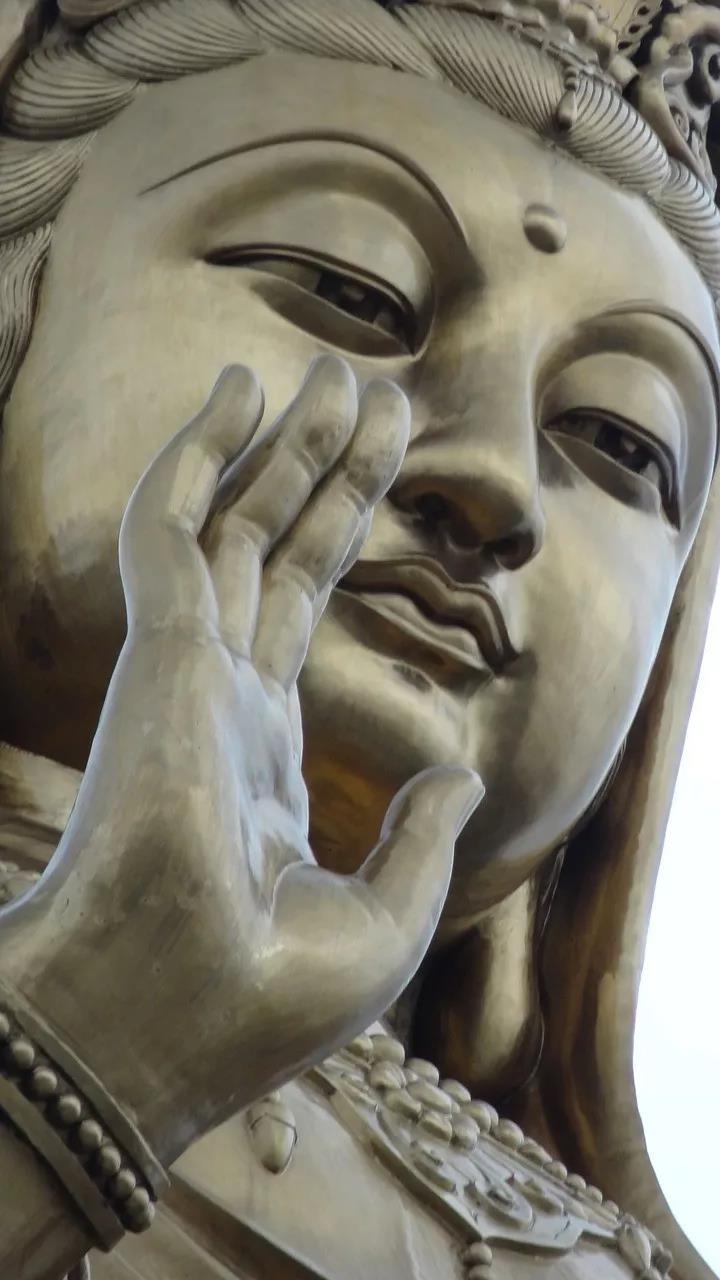 �����Ӧ�����Ų��ɣ��ж����ѣ���λ��ɮ��ݹ������������������