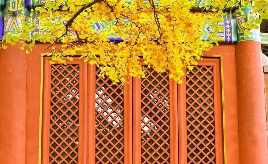 三藏十二部可以不读,这部小藏经,你不可不读! 三藏十二部可以不读,这部小藏经,你不可不读!