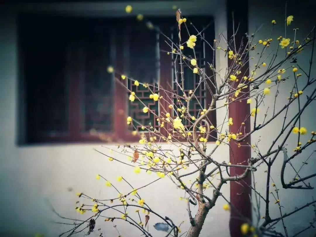 �����ù�������һ��