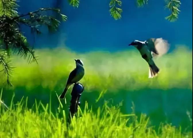 ��Ҫ������۱��ˣ�ÿ���˶��и��Եĸ�����Ե��