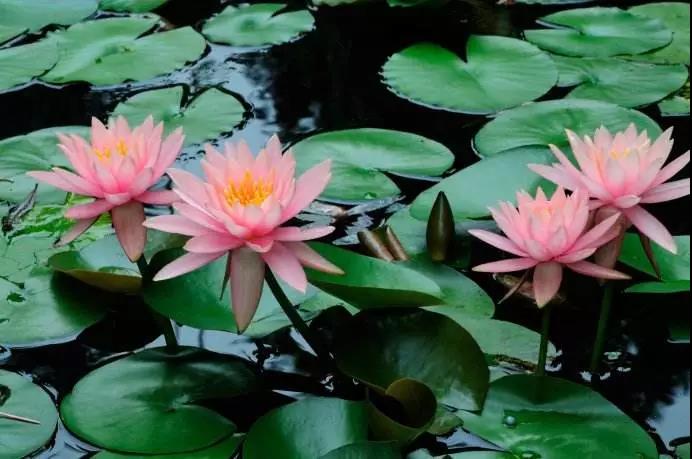 ��Ҫ������۱��ˣ�ÿ���˶��и��Եĸ�����Ե��