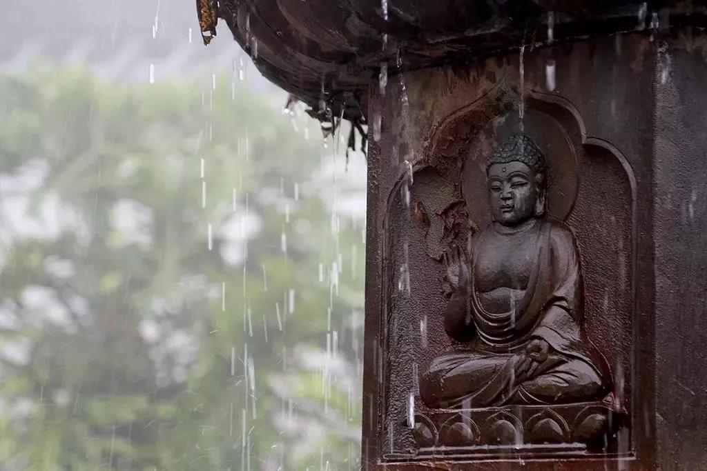 ������⼸�����������ף�һ��Ҫ������ڣ�