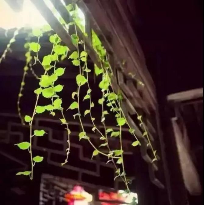 ����������׷��������ϰ���һ��Ҫ�Ƴ���