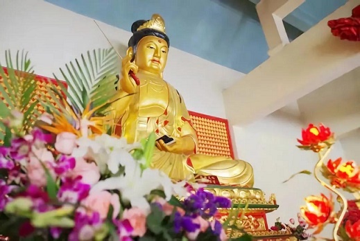 ���չ�ӭ���������ɵ��գ���Ը�����ǻ����������¼��飡