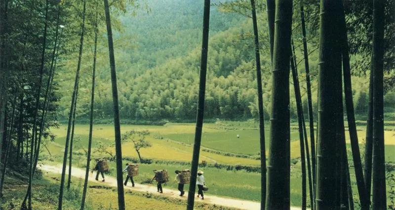 �������������ı�͵�ߣ�������˭͵������ĸ�����