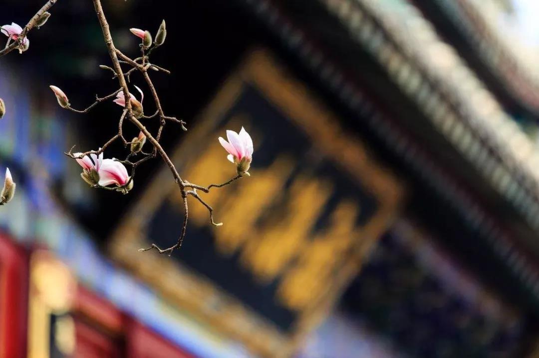 �����д����Ƿ𷨣��˳ɼ���ɣ�