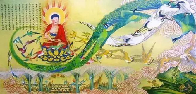 《佛说阿弥陀经》精美图解!过目增福无量! 《佛说阿弥陀经》精美图解!过目增福无量!