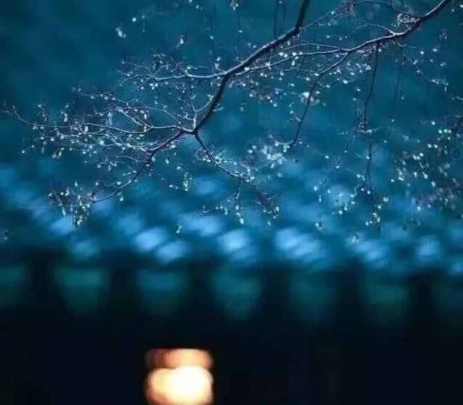 ��ν����������Լ�����������������Ʒ�ʣ�