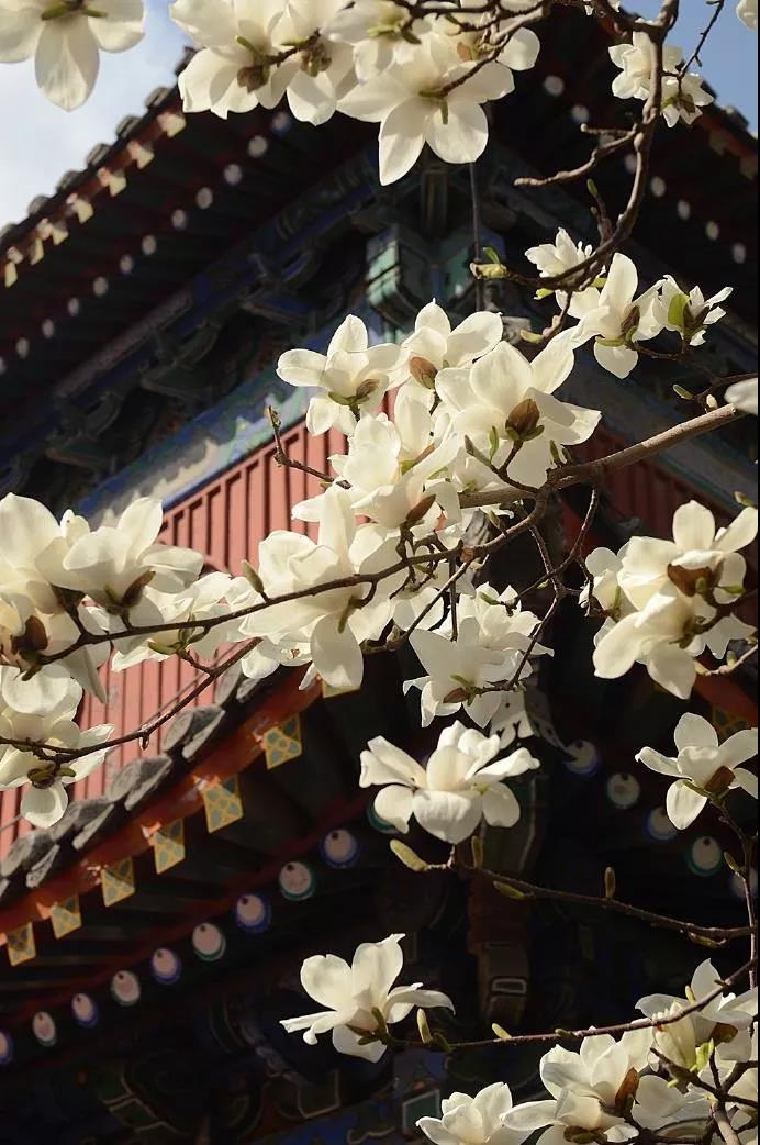 升官发财万事如意?学佛究竟要达到什么目的? 升官发财万事如意?学佛究竟要达到什么目的?