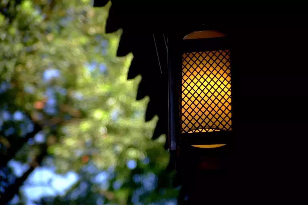 ��ɽ��ʦ���������Σ��˲��ɵ�