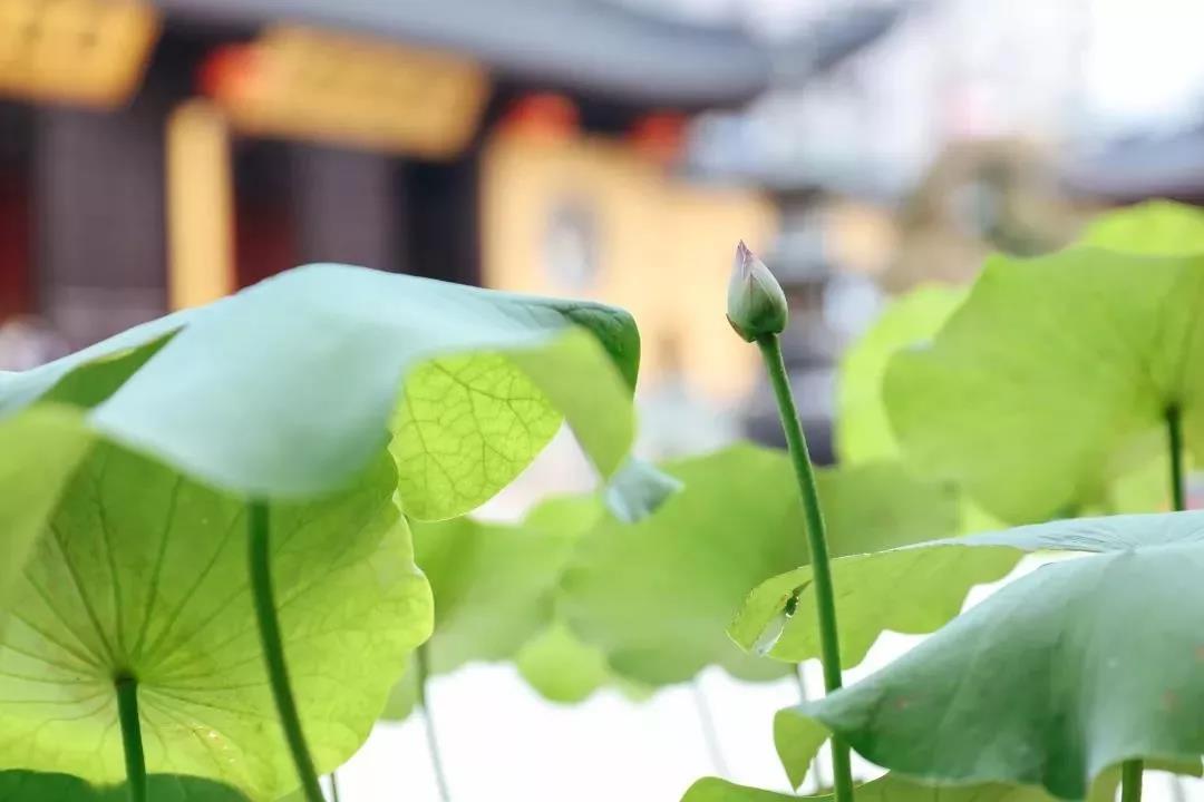 为何万事不顺?先改改自己的脾气 为何万事不顺?先改改自己的脾气