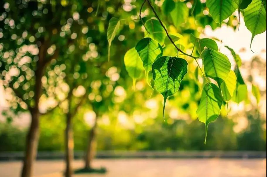 心里装着什么,就会与什么结缘 心里装着什么,就会与什么结缘