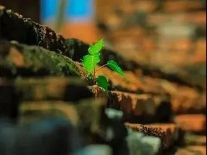 心里常起烦恼恶念,如何是好? 心里常起烦恼恶念,如何是好?