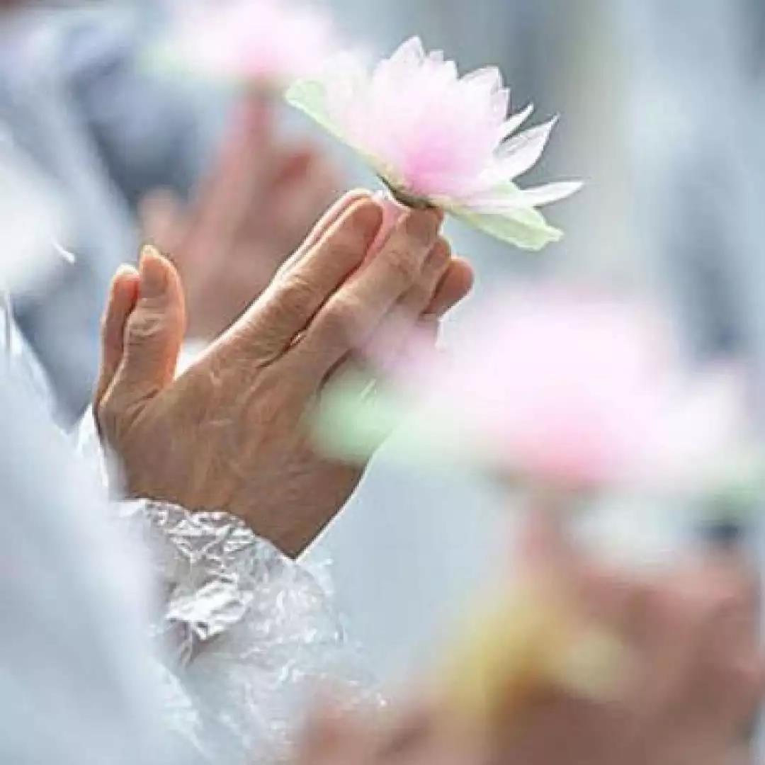 注意自己的心,莫要再折自己的福分了!! 注意自己的心,莫要再折自己的福分了!!