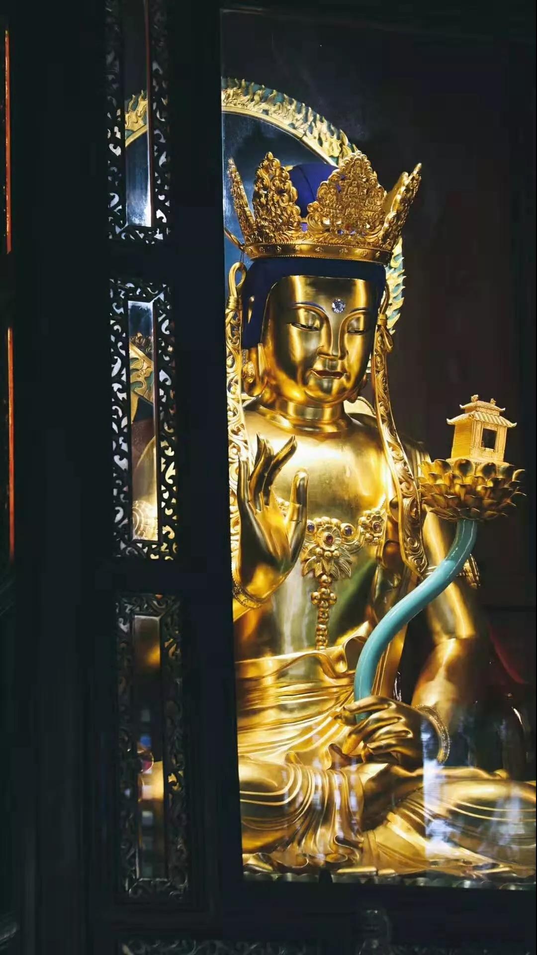 �����չ��ǹ�