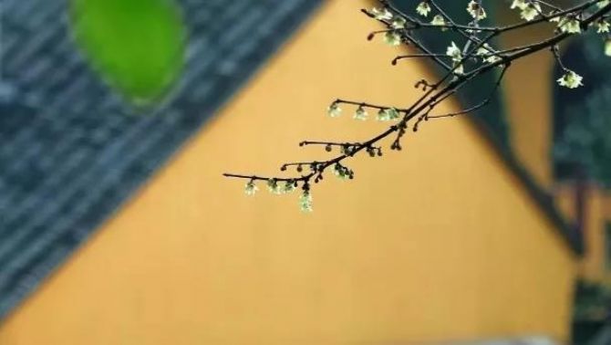 新春伊始,时常自省,不要在同一个地方跌倒两次 新春伊始,时常自省,不要在同一个地方跌倒两次