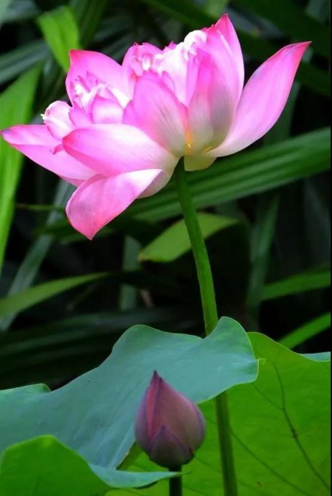 ����Ժ�����ʹ�һ�ʹ�������