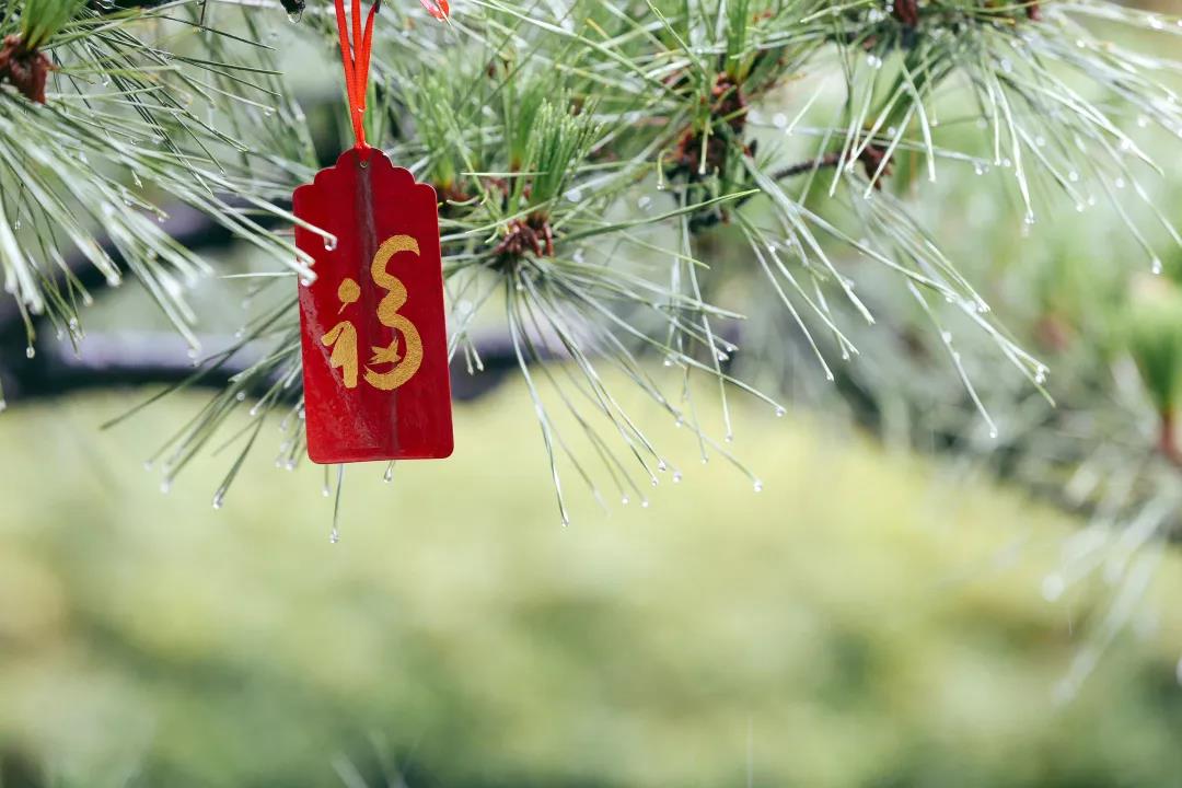 ���ü��������ŷ�_�Ӹı��Լ�����