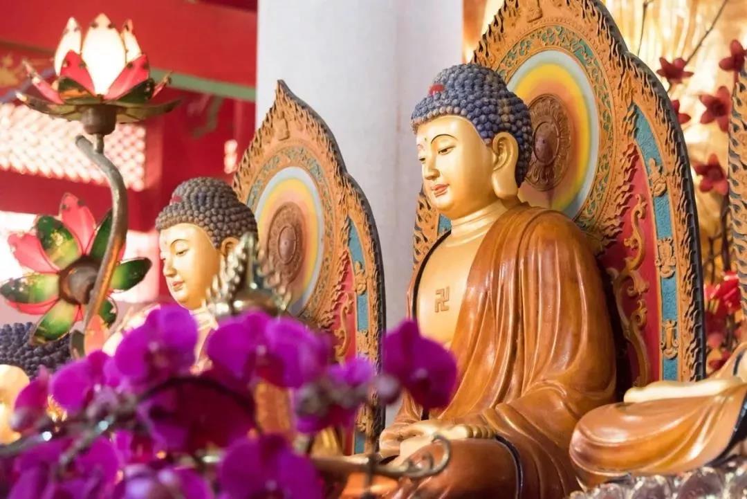 印光法师:如来成正觉,众生堕三途,皆不出因果之外 印光法师:如来成正觉,众生堕三途,皆不出因果之外