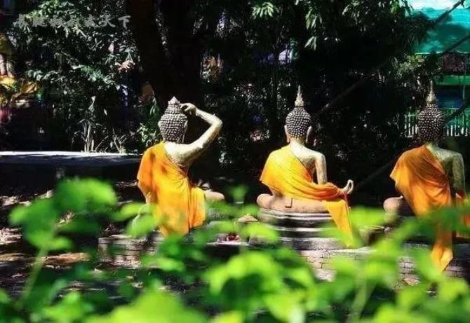 Ϊʲô�𷨵ĵ���������ȴ������?