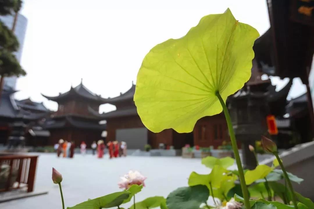 ��λ��۹��£����¸����Ŀ���ԭ�������