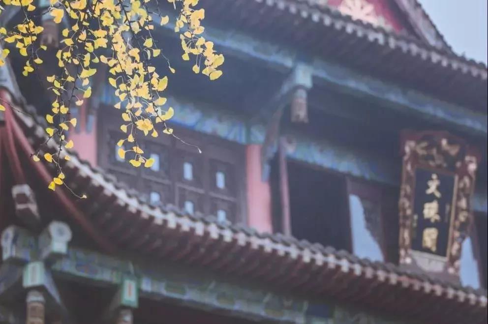 ע�⣬����ѧ��ѧ����Щ���������ҽ���