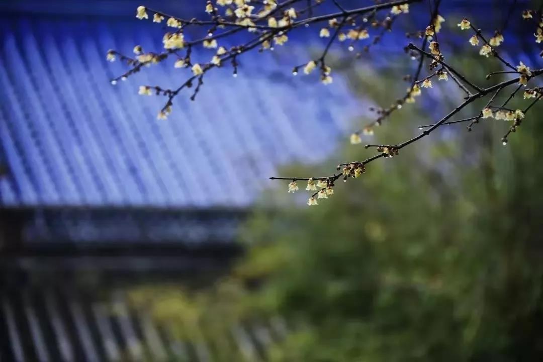 Ҫ���˶������ĸ��£������ŷ�����ţ�