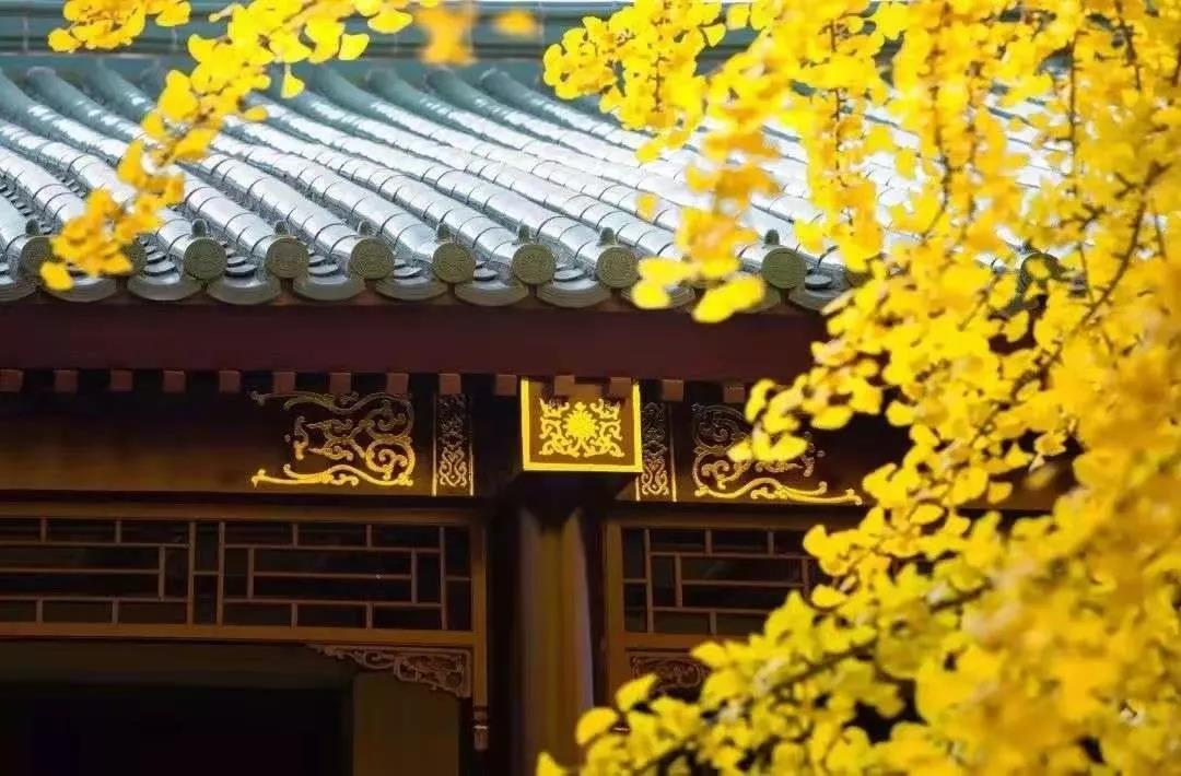 ѧ���Լ������Լ����������Żᱣ���㣡