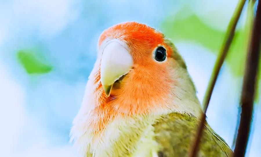 һֻ����˵���Ҵ�����������������ȥ