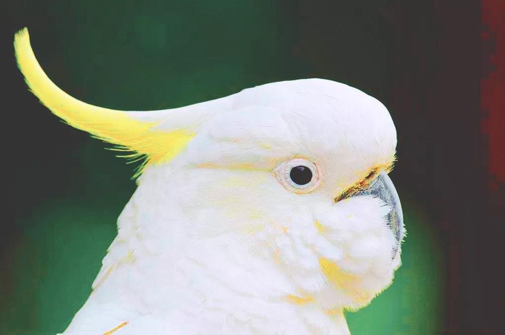 һֻ����˵���Ҵ�����������������ȥ