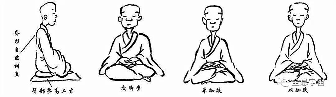 面对新型病毒,方知素食和提高免疫力的可贵! 面对新型病毒,方知素食和提高免疫力的可贵!