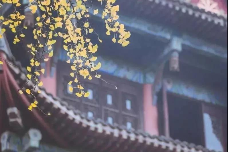 ӡ�ⷨʦ������ѧ�𣬱���ѧΪ����