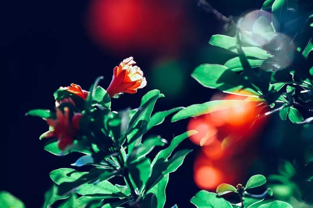 ��������������������Щ��