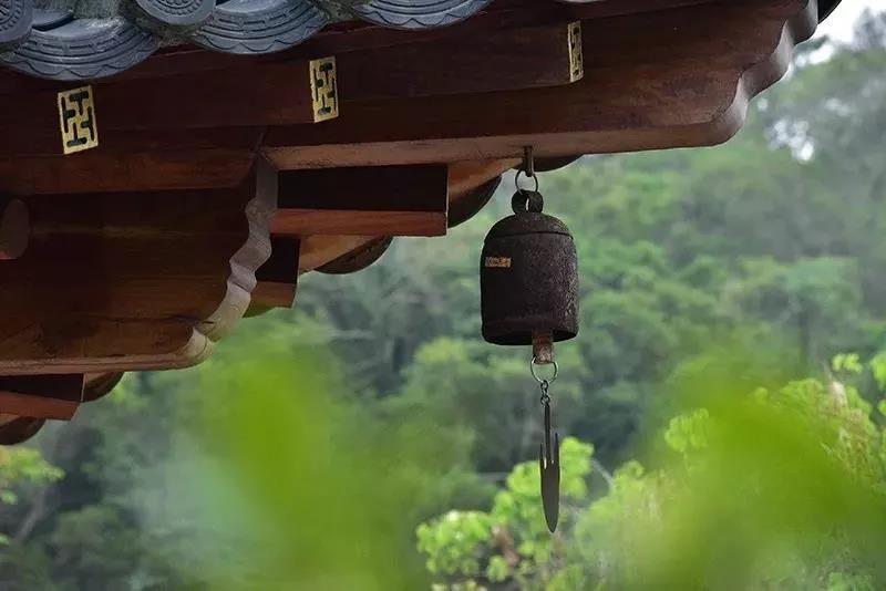 ����������Ʊ������ж񱨡���û�о��Եġ����ˡ��롰���ˡ�