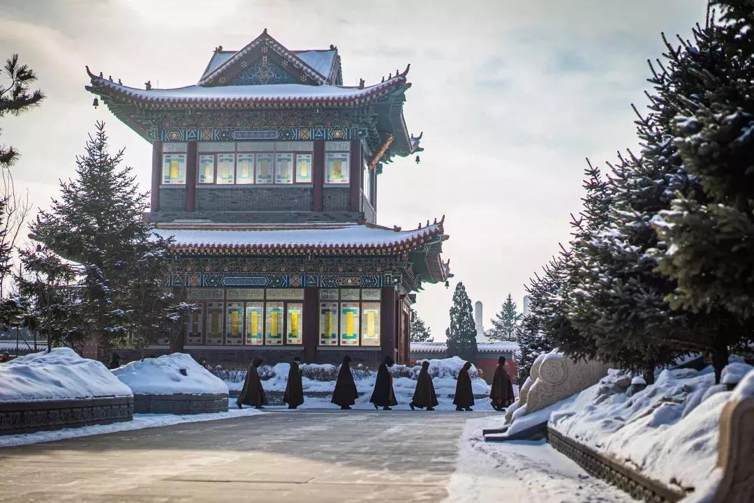 �Ƴ����롢�ߵ���ϰ������������������