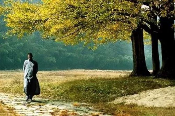 �Ƴ����롢�ߵ���ϰ������������������