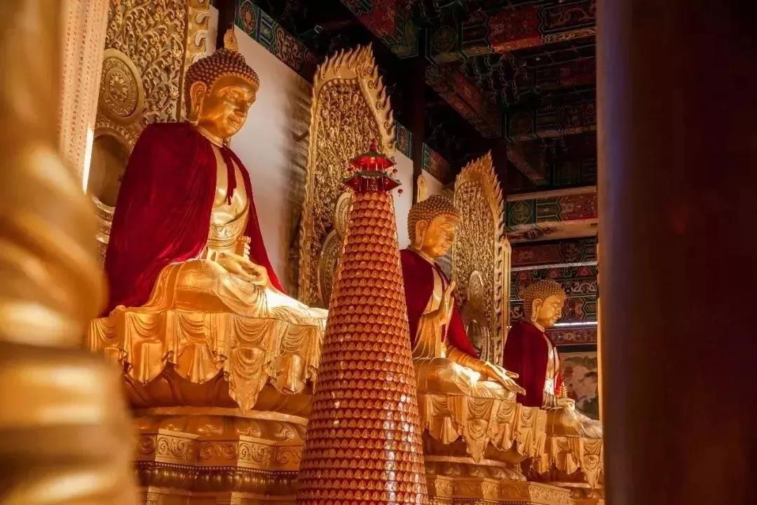 在娑婆世界修行的三大困难 在娑婆世界修行的三大困难